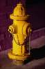 Yellow 674054.JPG Yellow fire hydrant
